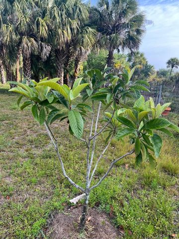 15148 NW 288th Street, Okeechobee, FL 34972