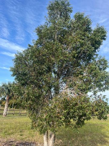 15148 NW 288th Street, Okeechobee, FL 34972