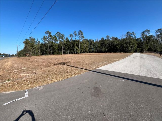 35400 LAKE RAY DRIVE, Dade City, FL 33525