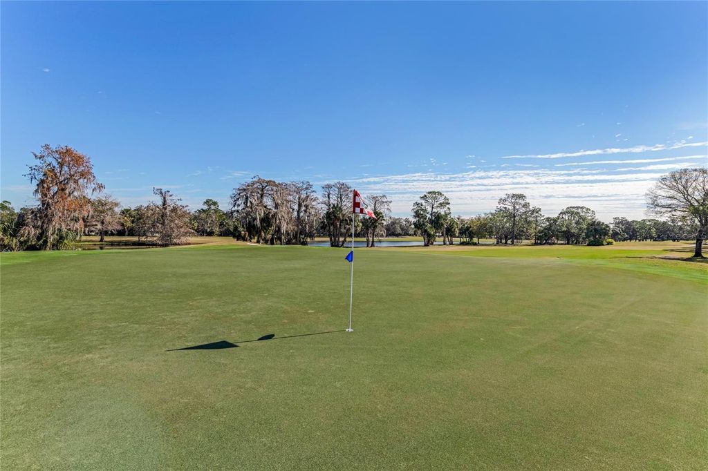 Image 41 of property listing at 507 BOXWOOD LANE, New Smyrna Beach, FL 32168