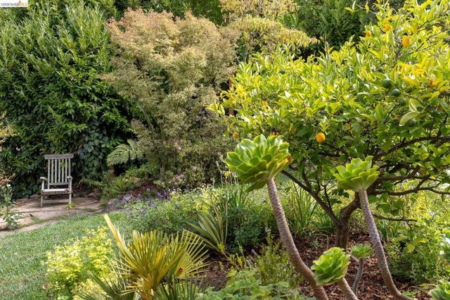22 Kensington Ct, Kensington, CA 94707