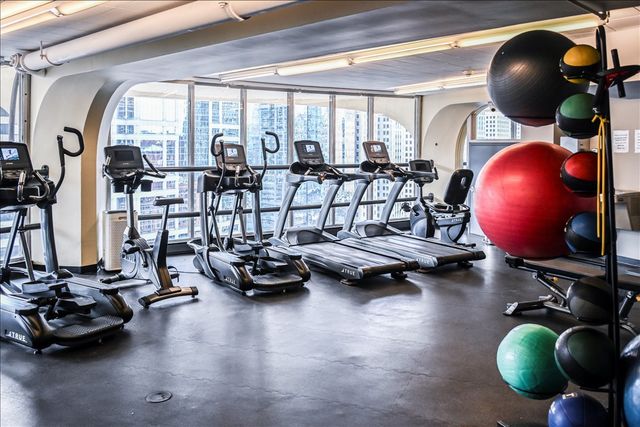 300 N State Street 4625, Chicago, IL 60654