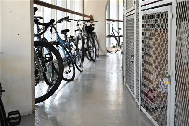 300 N State Street 4625, Chicago, IL 60654