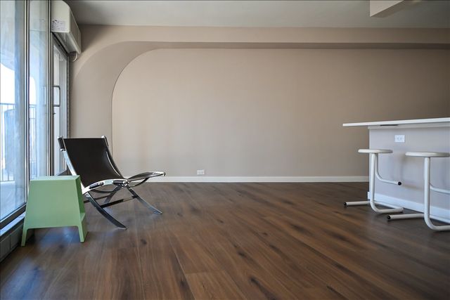 300 N State Street 4625, Chicago, IL 60654