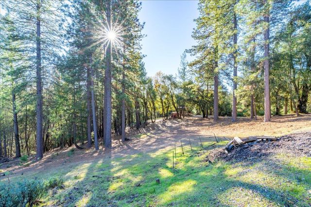 870 Swanson Ln, Colfax, CA 95713