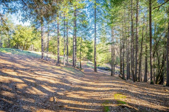 870 Swanson Ln, Colfax, CA 95713