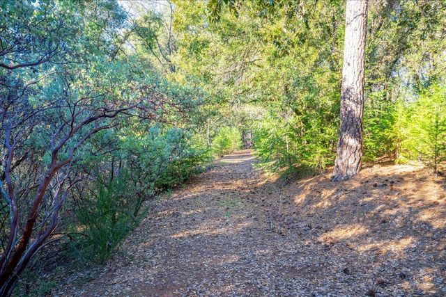 870 Swanson Ln, Colfax, CA 95713