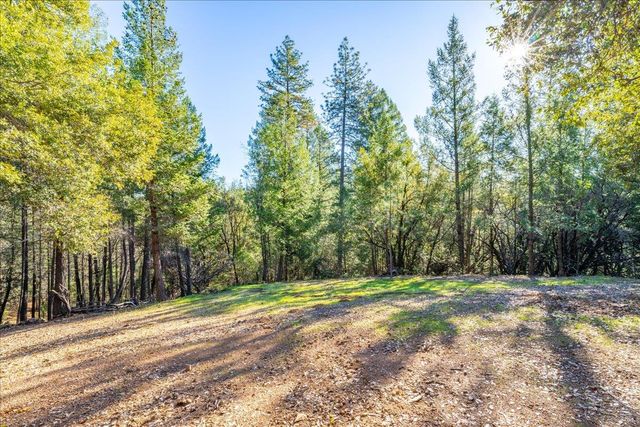 870 Swanson Ln, Colfax, CA 95713
