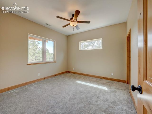 748 Pinewood Road, Florissant, CO 80816