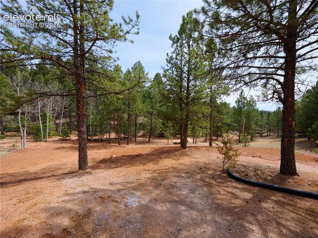748 Pinewood Road, Florissant, CO 80816