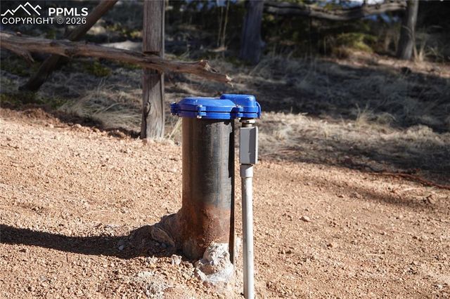 748 Pinewood Road, Florissant, CO 80816