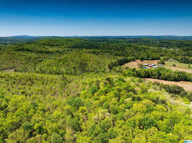 0 PIKE HILL ROAD, Ashville, AL 35953