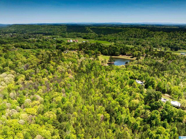 0 PIKE HILL ROAD, Ashville, AL 35953