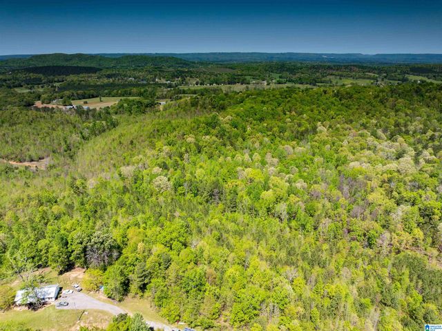 0 PIKE HILL ROAD, Ashville, AL 35953