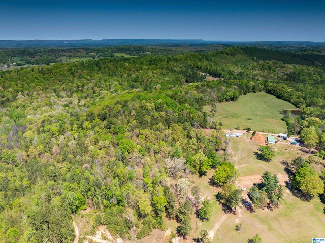 0 PIKE HILL ROAD, Ashville, AL 35953