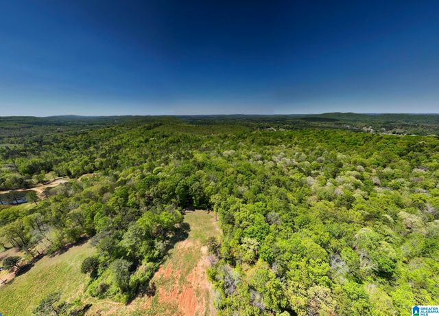 0 PIKE HILL ROAD, Ashville, AL 35953