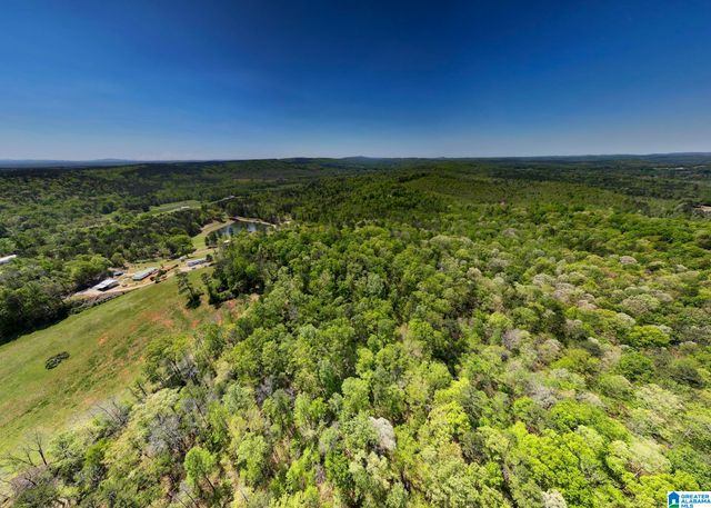 0 PIKE HILL ROAD, Ashville, AL 35953