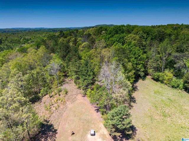 0 PIKE HILL ROAD, Ashville, AL 35953