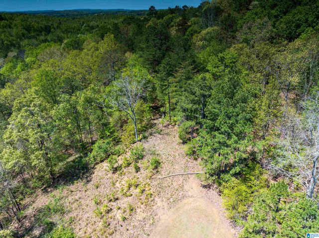 0 PIKE HILL ROAD, Ashville, AL 35953