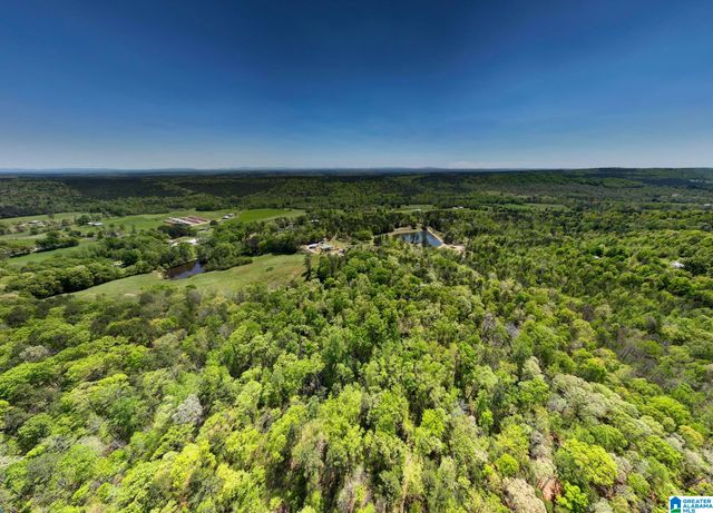 0 PIKE HILL ROAD, Ashville, AL 35953