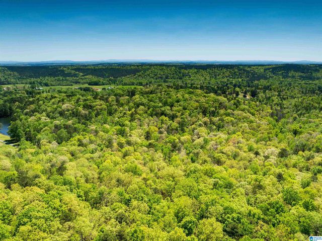 0 PIKE HILL ROAD, Ashville, AL 35953