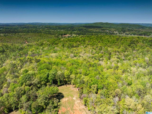 0 PIKE HILL ROAD, Ashville, AL 35953