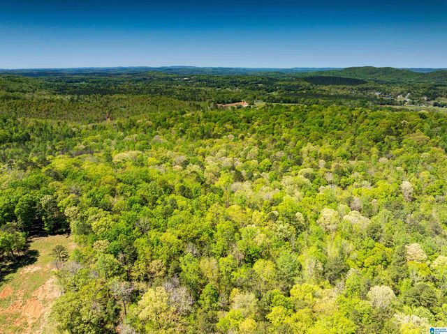 0 PIKE HILL ROAD, Ashville, AL 35953