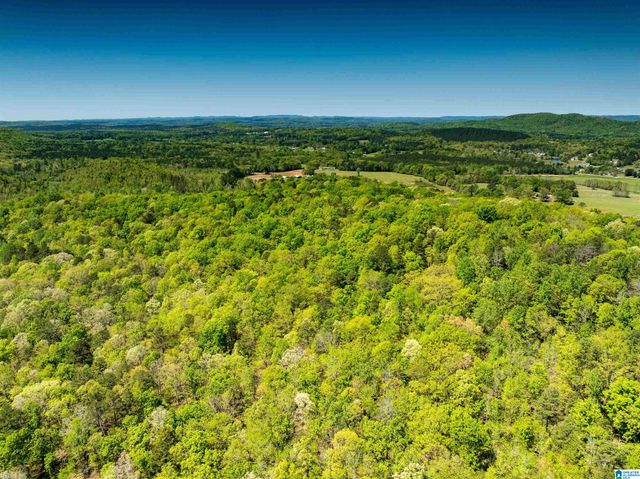 0 PIKE HILL ROAD, Ashville, AL 35953