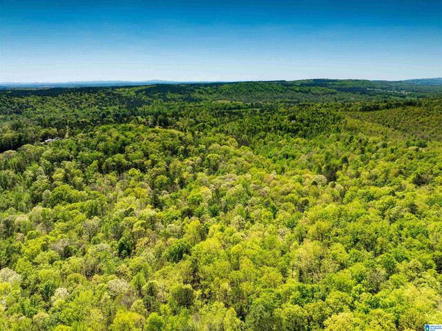 0 PIKE HILL ROAD, Ashville, AL 35953