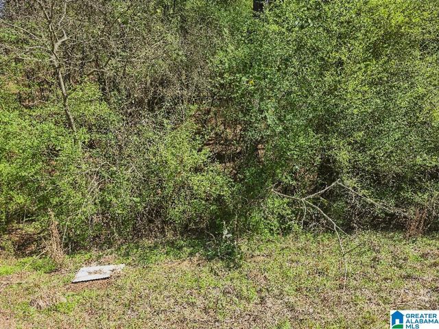 0 PIKE HILL ROAD, Ashville, AL 35953