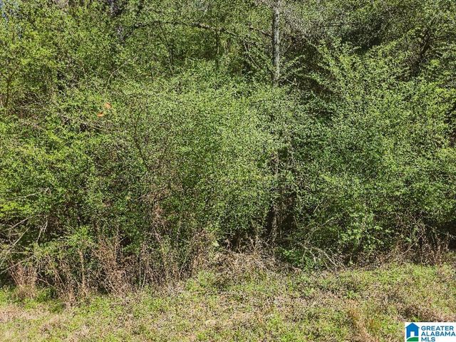 0 PIKE HILL ROAD, Ashville, AL 35953