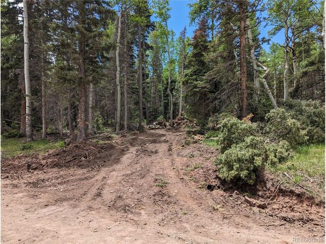 2904 Henderson Dr, Fort Garland, CO 81133
