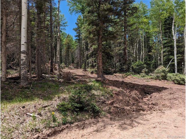 2904 Henderson Dr, Fort Garland, CO 81133