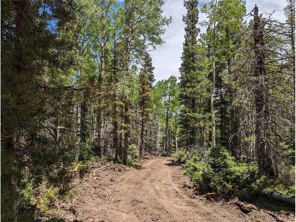 2904 Henderson Dr, Fort Garland, CO 81133