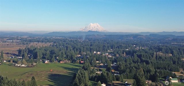 18525 Sargent Road SW, Rochester, WA 98579