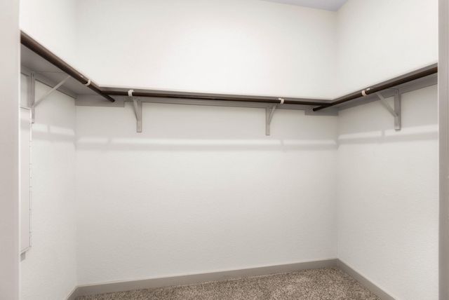 7409 Peggie Nell DR, Austin, TX 78724