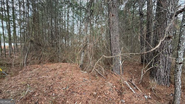 9136 Grampian Court, Winston, GA 30187