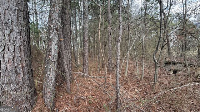 9136 Grampian Court, Winston, GA 30187