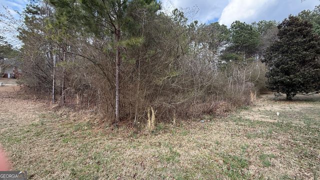 9136 Grampian Court, Winston, GA 30187