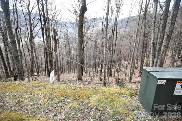 44 Prosperity Ridge 44, Waynesville, NC 28785