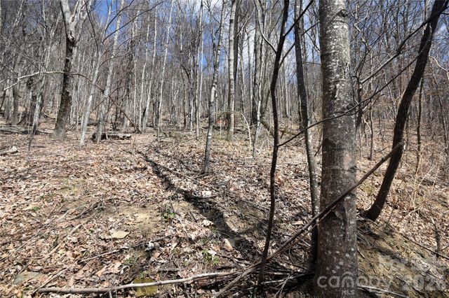 44 Prosperity Ridge 44, Waynesville, NC 28785