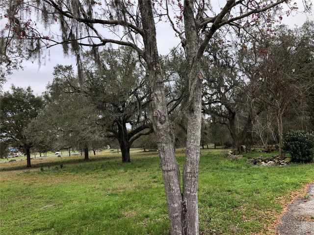 24206 DOC KARELAS DRIVE, Newberry, FL 32669