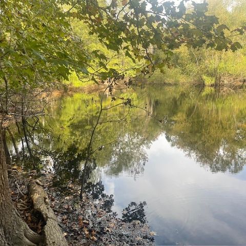 205 County Road 2880, Mineola, TX 75773