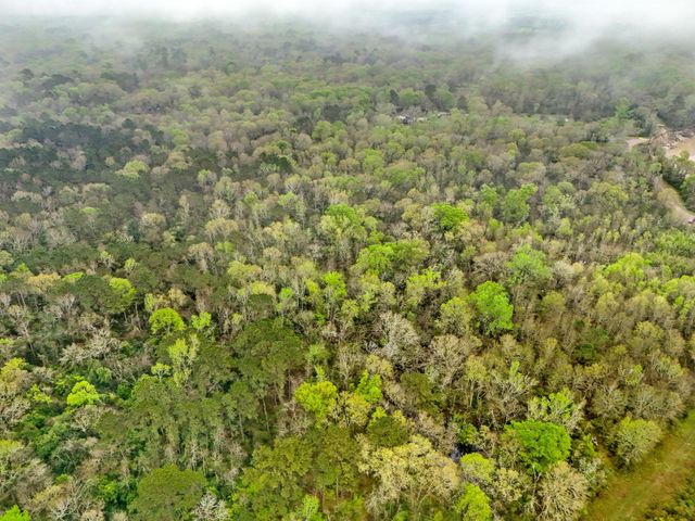 10211 S Essex Drive, Conroe, TX 77302