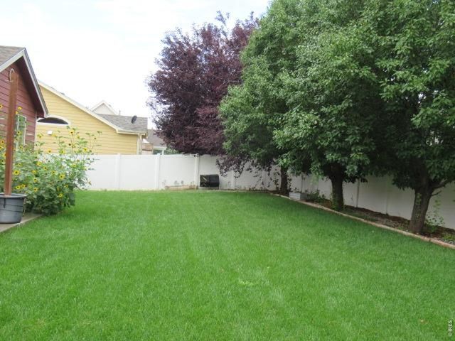3946 Mount Oxford St, Wellington, CO 80549
