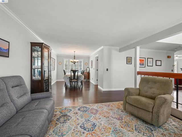 45399 Little Foot Pl, Fremont, CA 94539