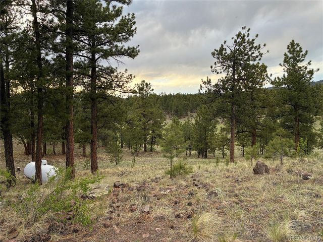 6951 County Rd 71, Guffey, CO 80820