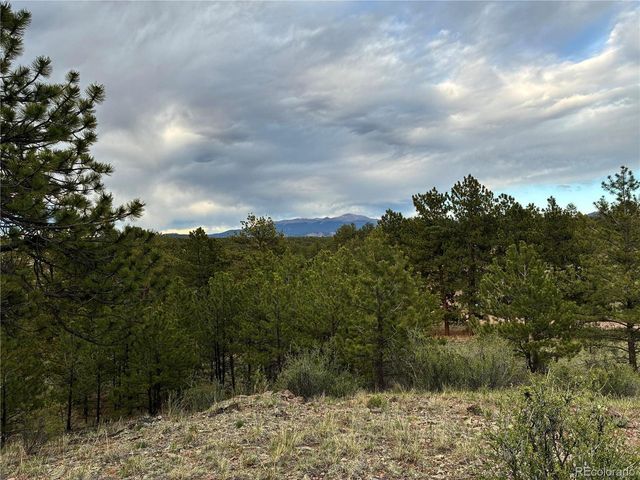 6951 County Rd 71, Guffey, CO 80820