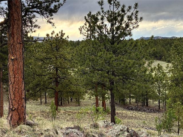 6951 County Rd 71, Guffey, CO 80820