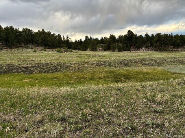 6951 County Rd 71, Guffey, CO 80820